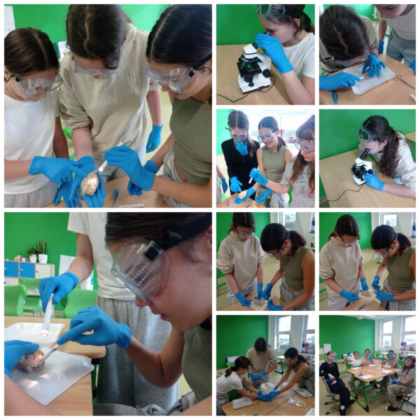 🌿 Zajęcia koła ekologicznego 🌿